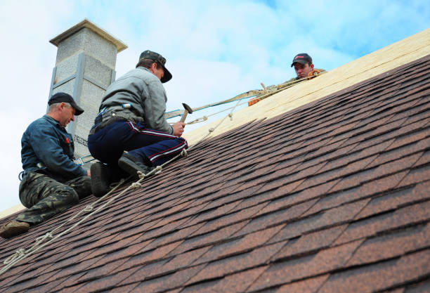Roof Installation Near Me in Wenona, IL